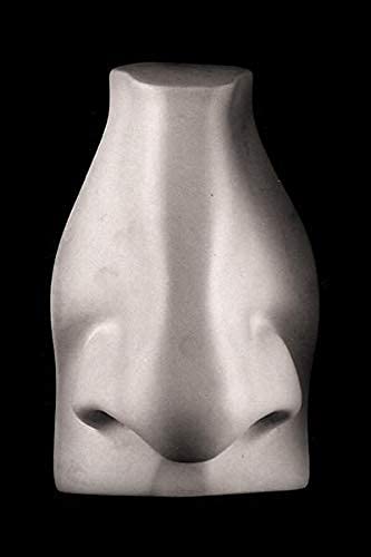 Caproni Collection plaster cast sculpture David's Nose Item 146 with hanging hook