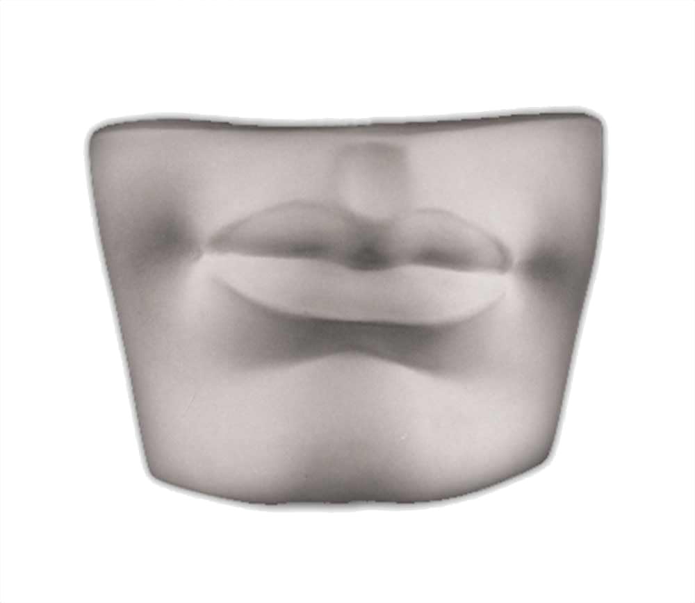 Caproni Collection plaster cast sculpture of David's Mouth 6x8x4 inches