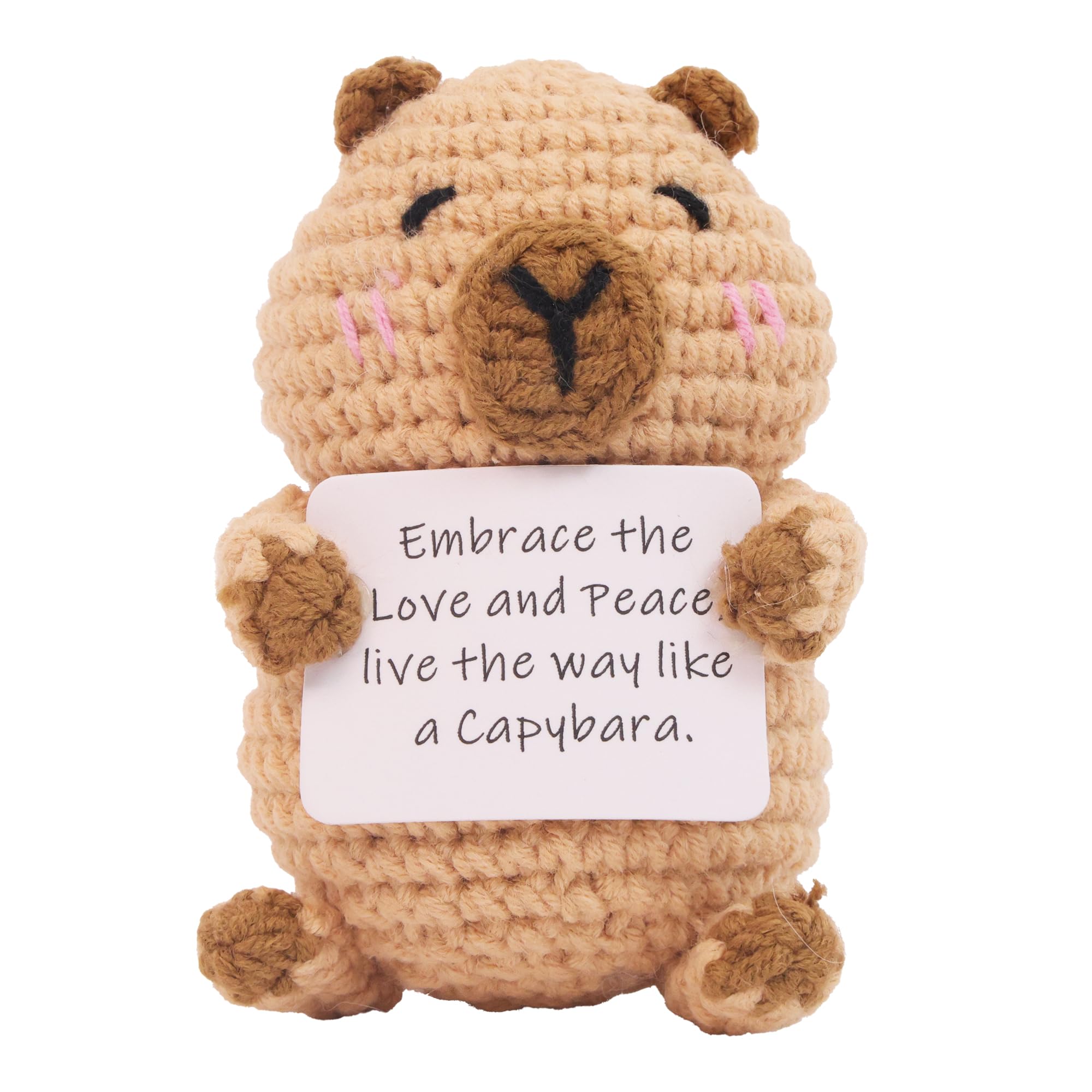 Capybara Gifts knitted capybara doll with positive card