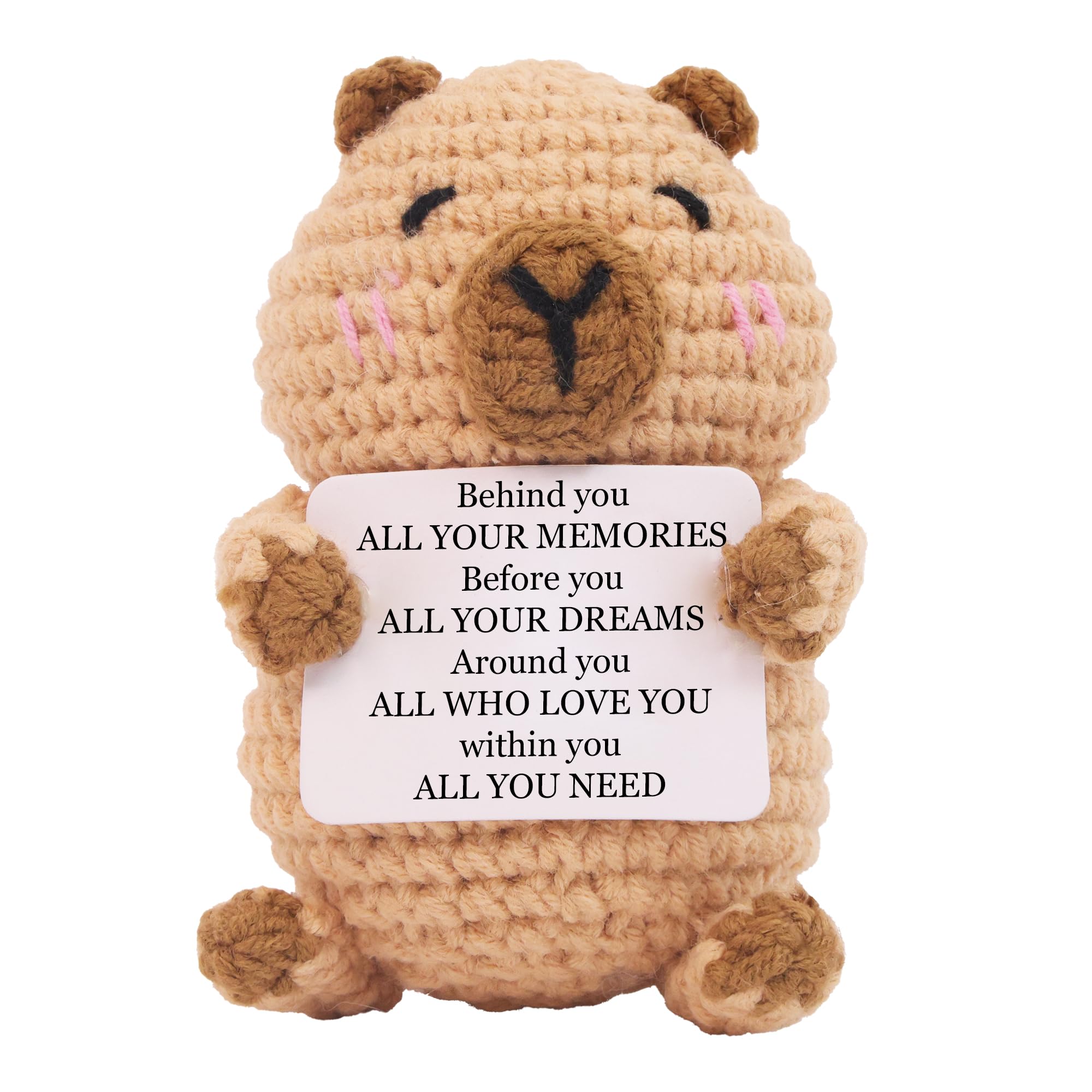 capybara toy knitted in wool with positive card