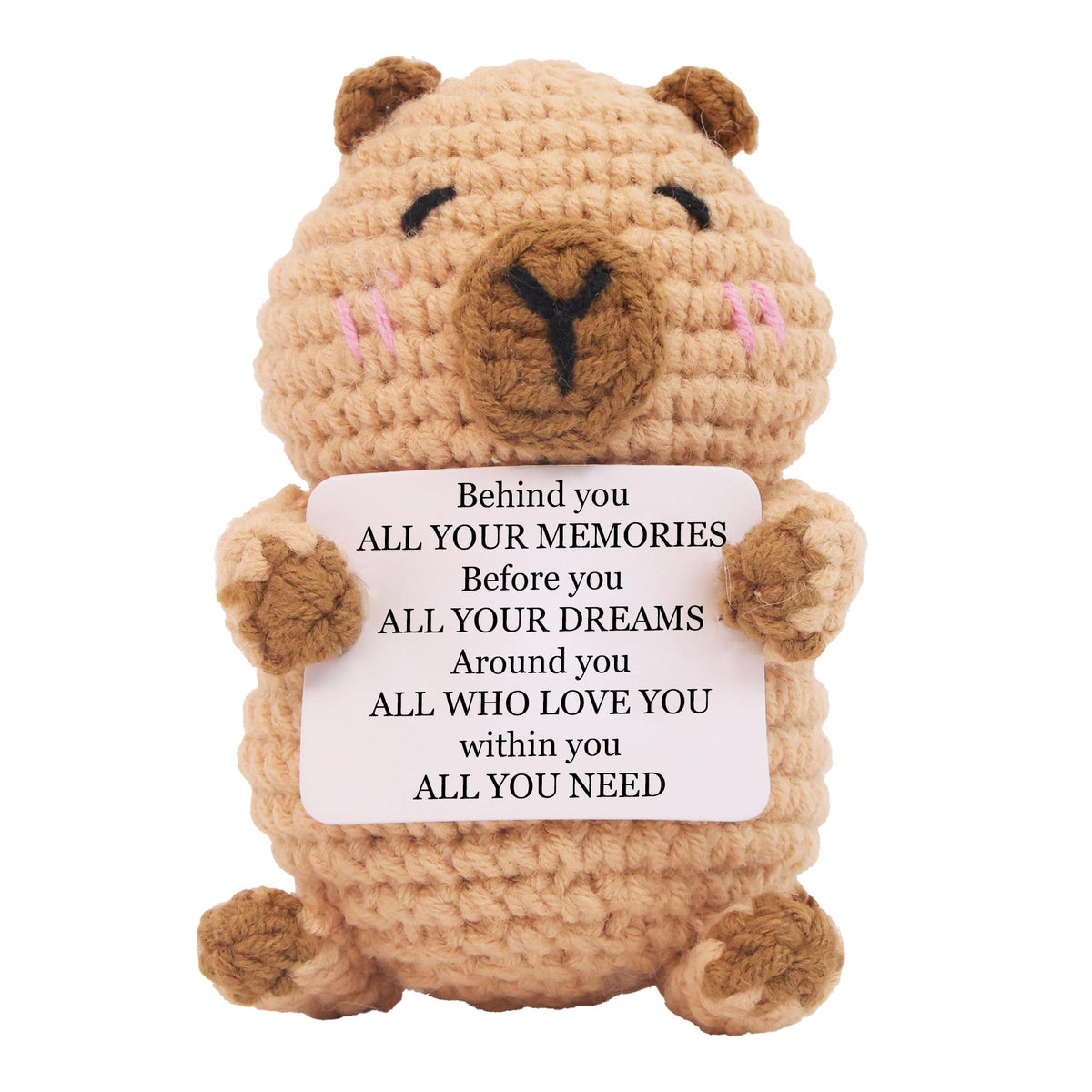 capybara toy knitted in wool with positive card