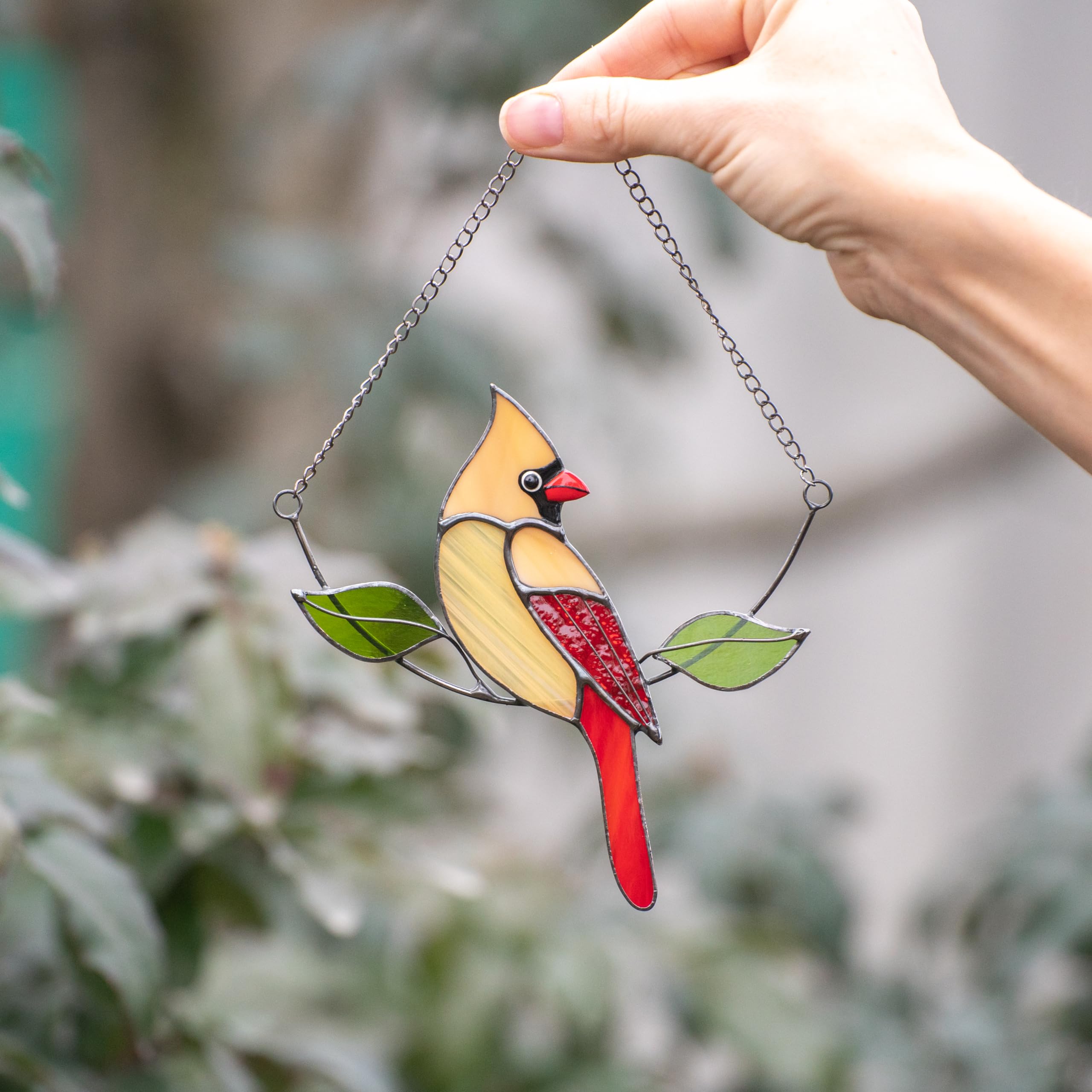 cardinal bird stained glass window hanging indoors