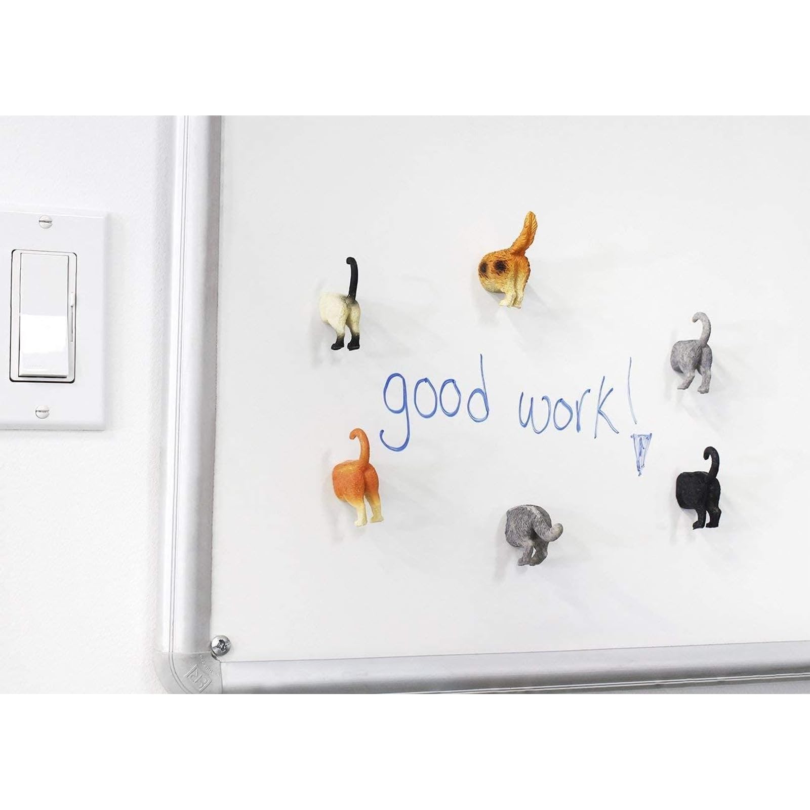 Decorative functional magnets for fridge lockers whiteboards