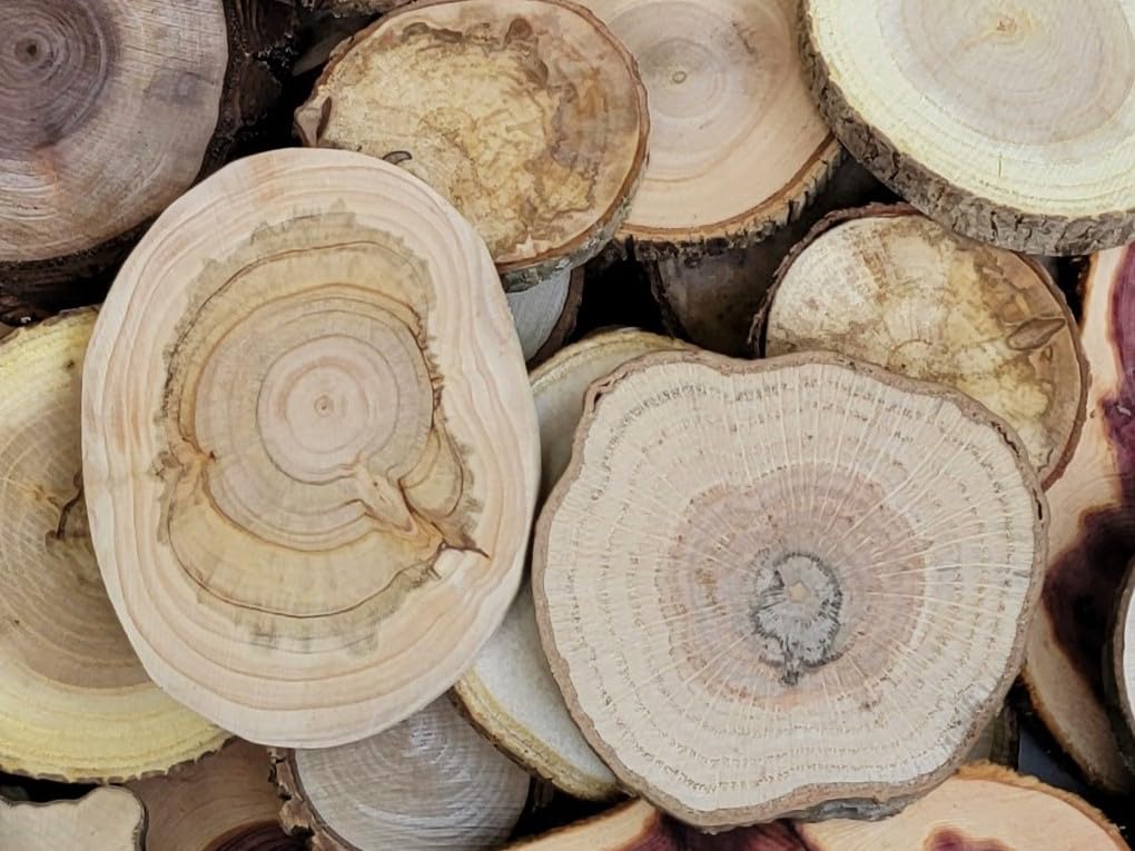 Live edge wood slices with varied grain patterns