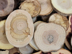 Live edge wood slices with varied grain patterns