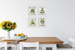 Central Texas printed herbs wall art canvas set of four