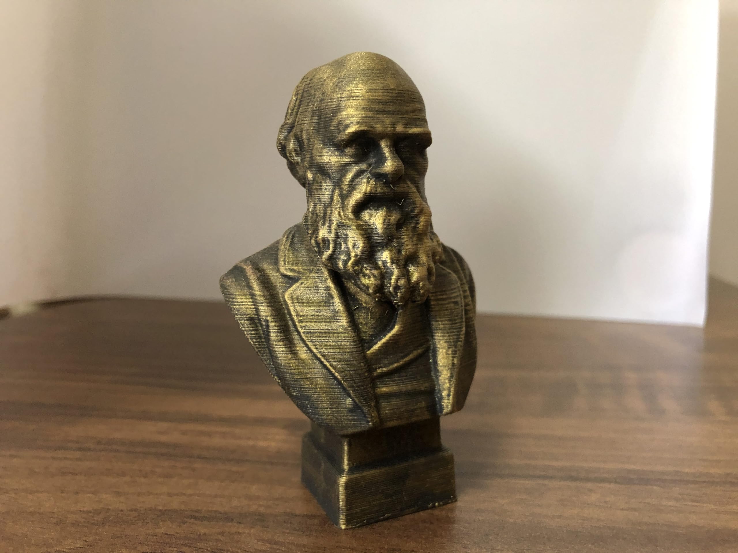 Darwin bust decorative sculpture for display