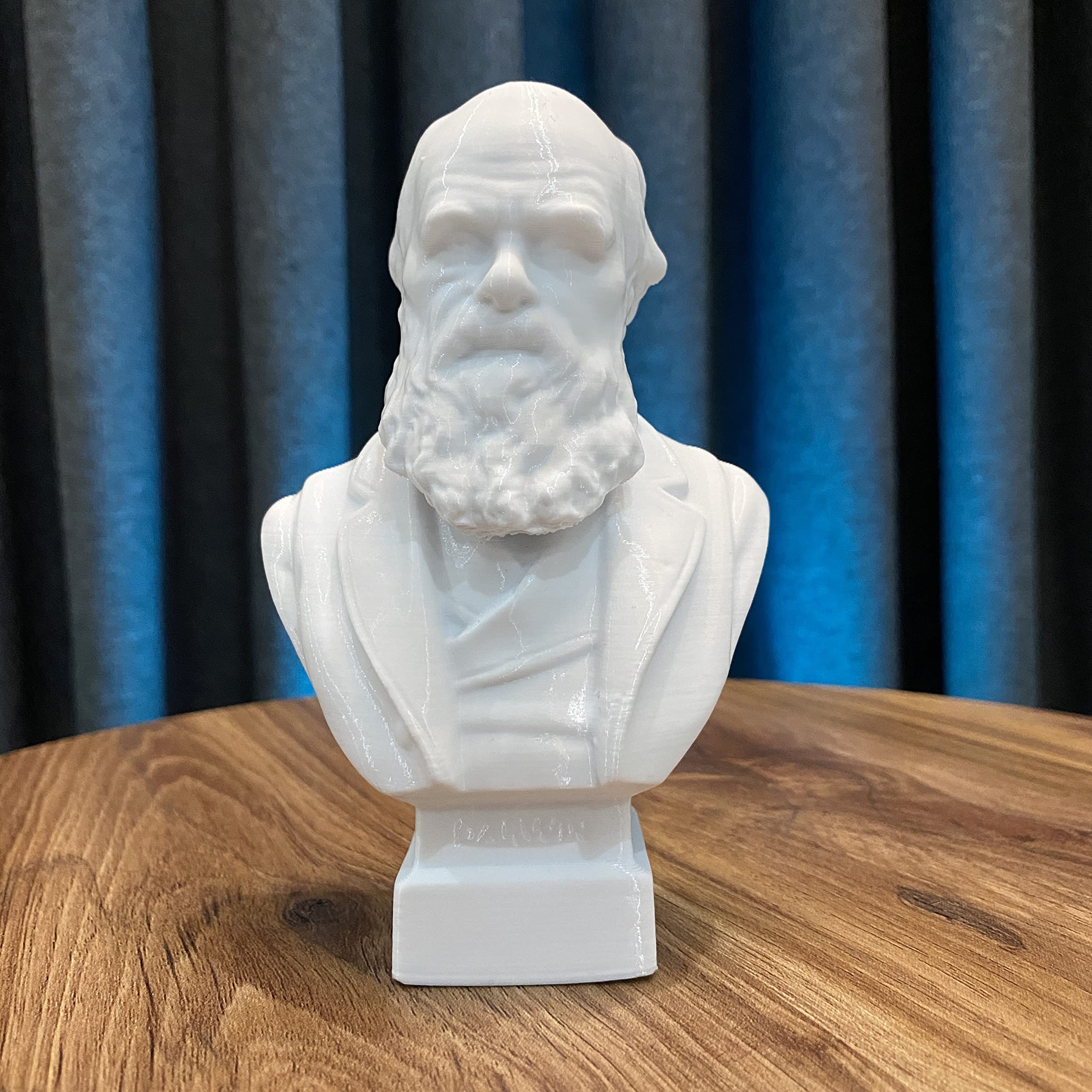 Gift idea Charles Darwin Bust for Darwin fans