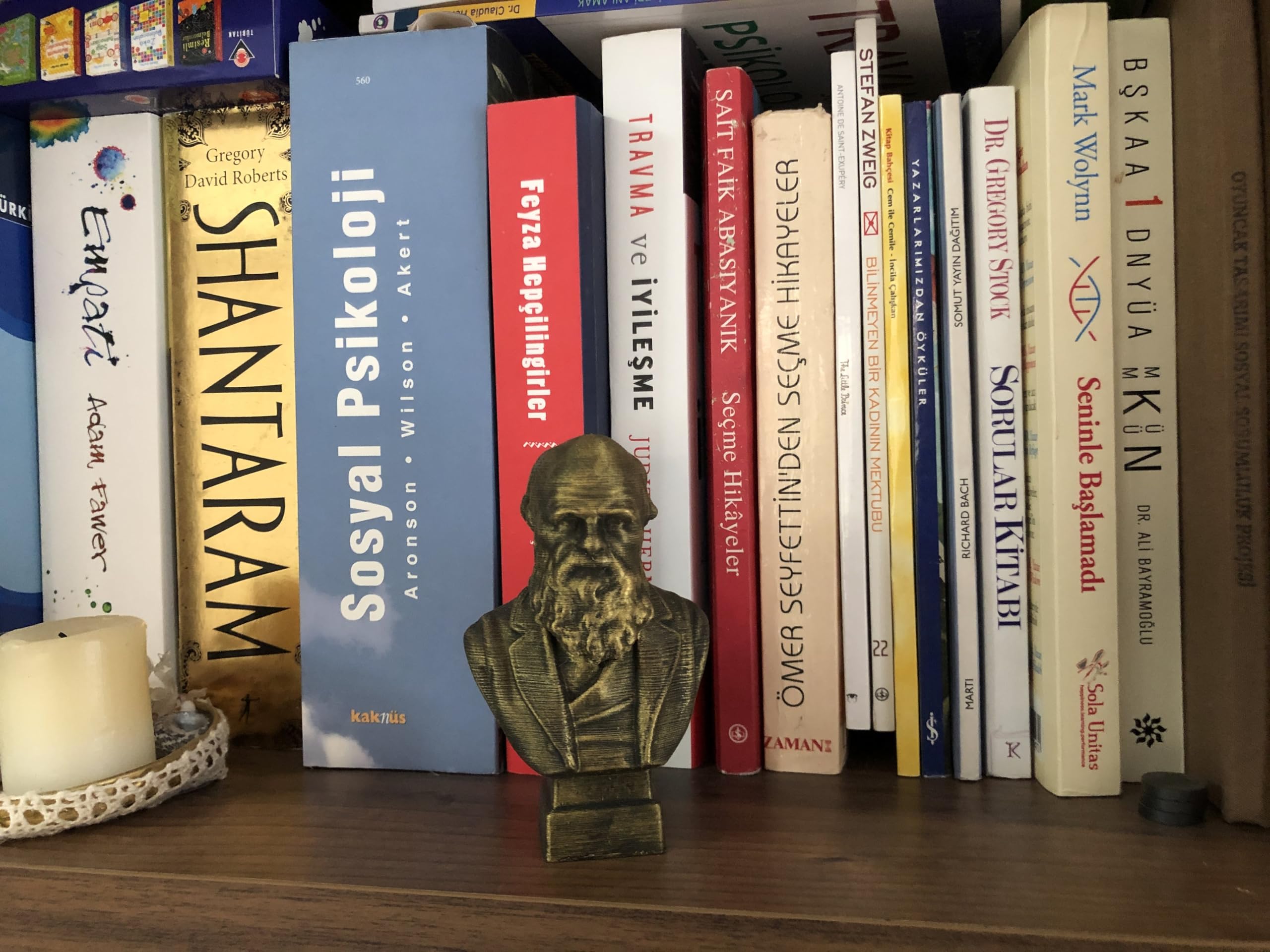 4 inch Darwin bust metal-like finish for decor