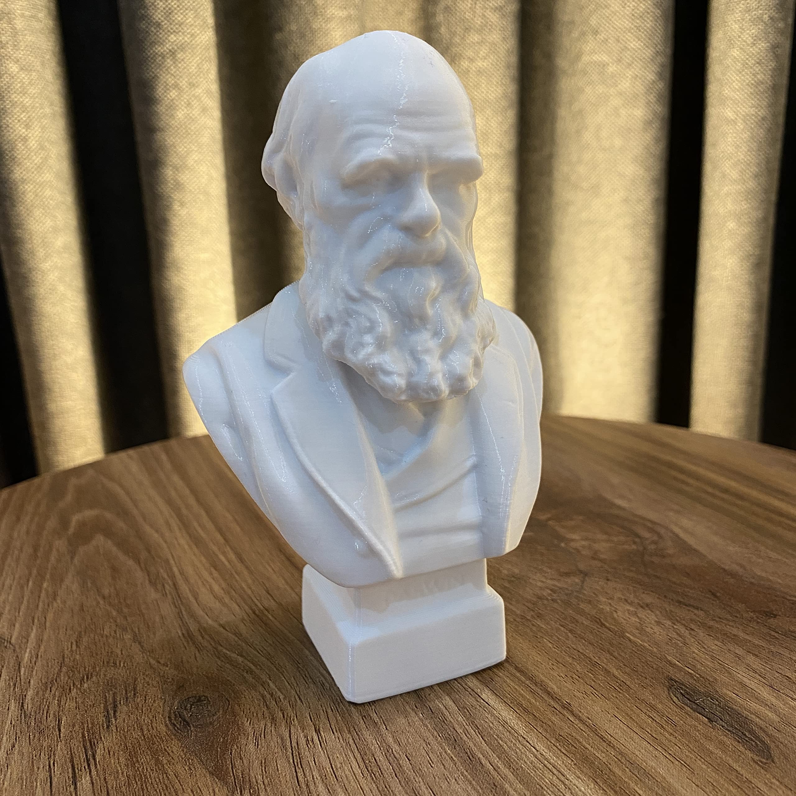 Charles Darwin Bust white decorative figure suitable for office decor