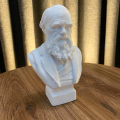 Charles Darwin Bust white decorative figure suitable for office decor