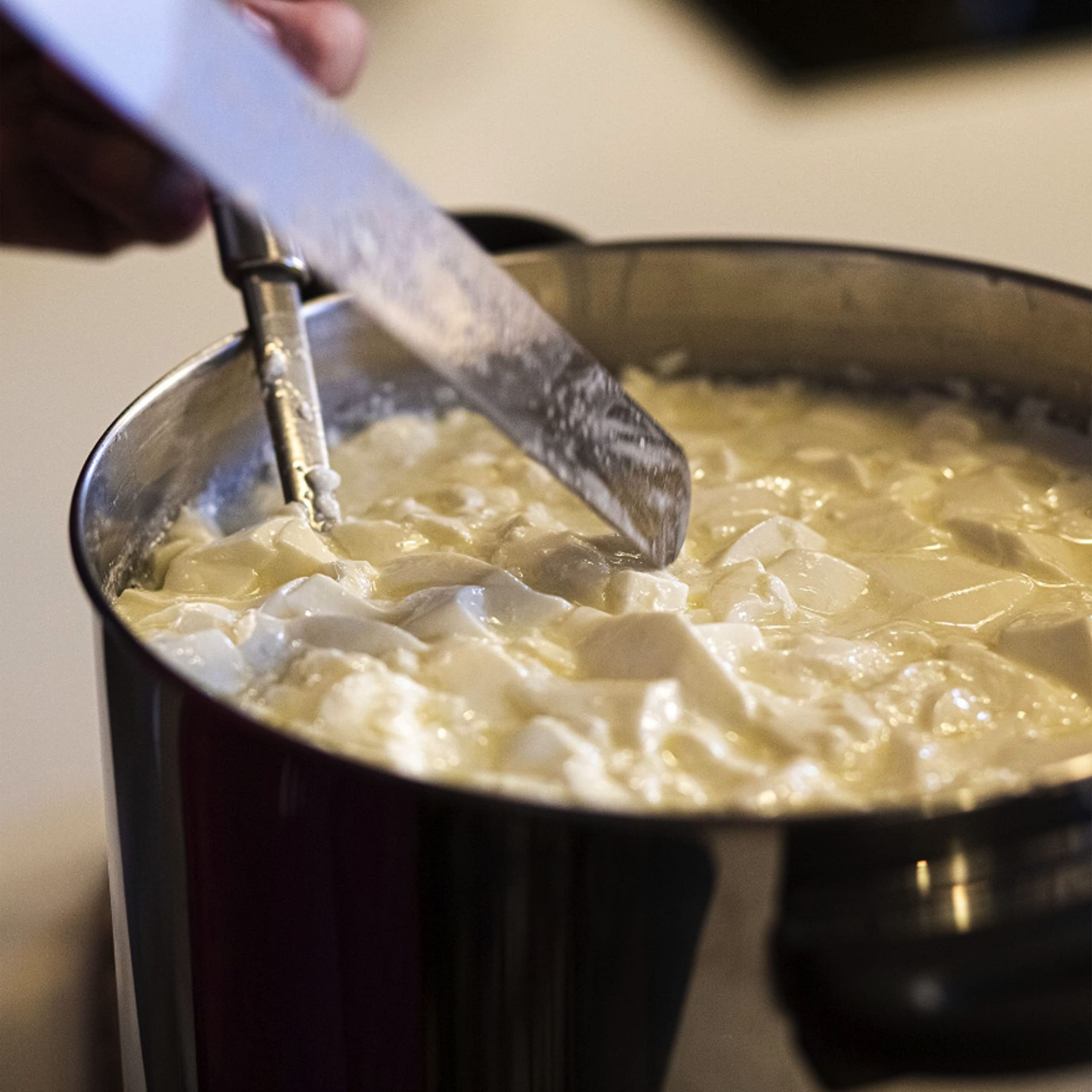 Plant-based microbial coagulant for cheese making in 50ml bottle