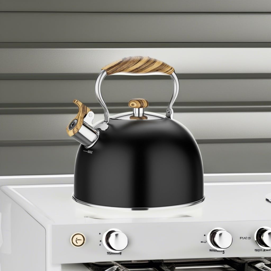 Loud whistling kettle for stovetop use