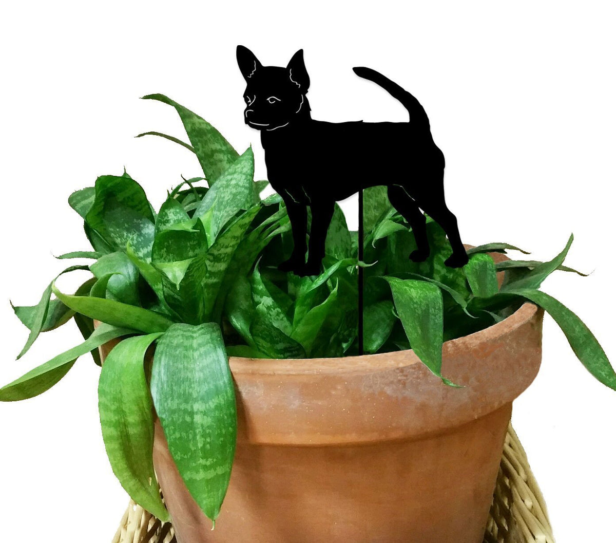 Chihuahua ornament product