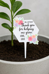 6x4 inch acrylic plant stake for pots and planters