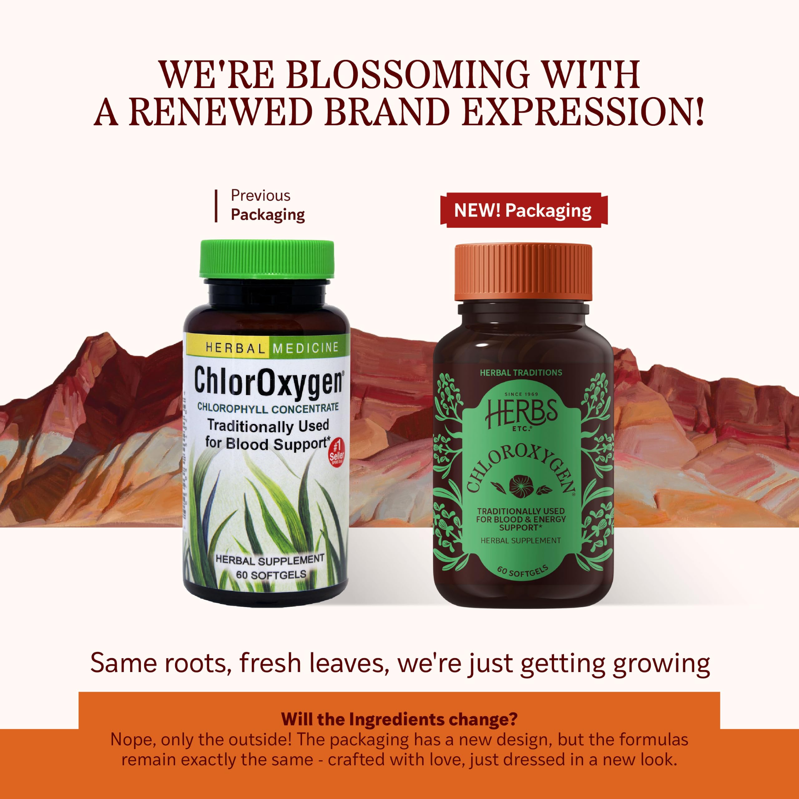 ChlorOxygen Chlorophyll Concentrate Softgels close up