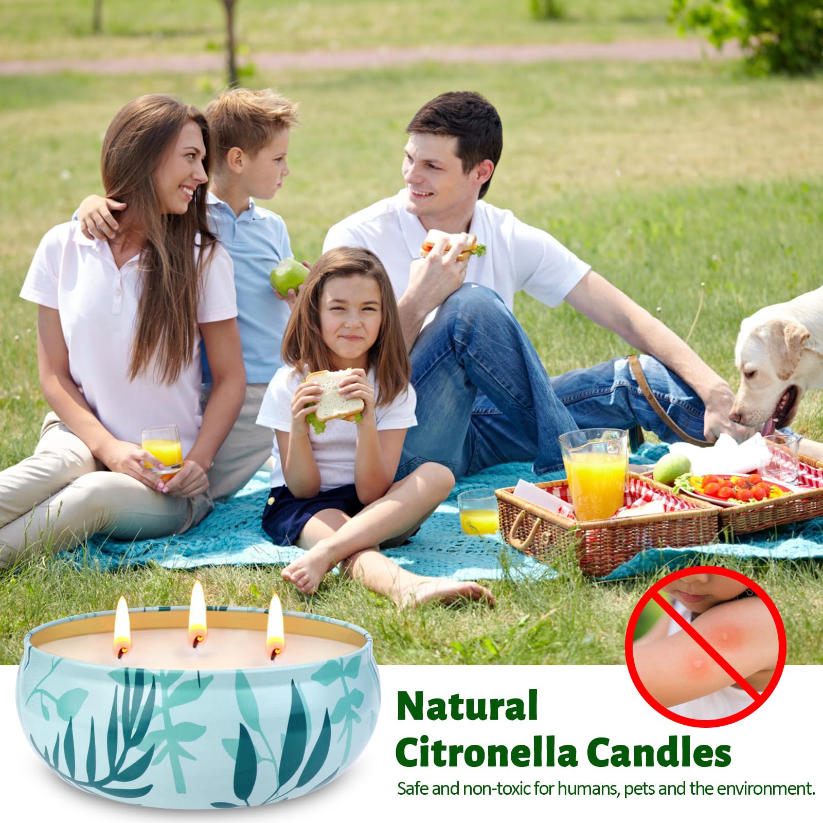 Lemongrass scented citronella candle soy wax 12 oz image