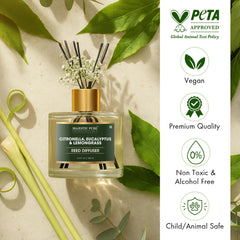 Natural aromatherapy reed diffuser for home and office