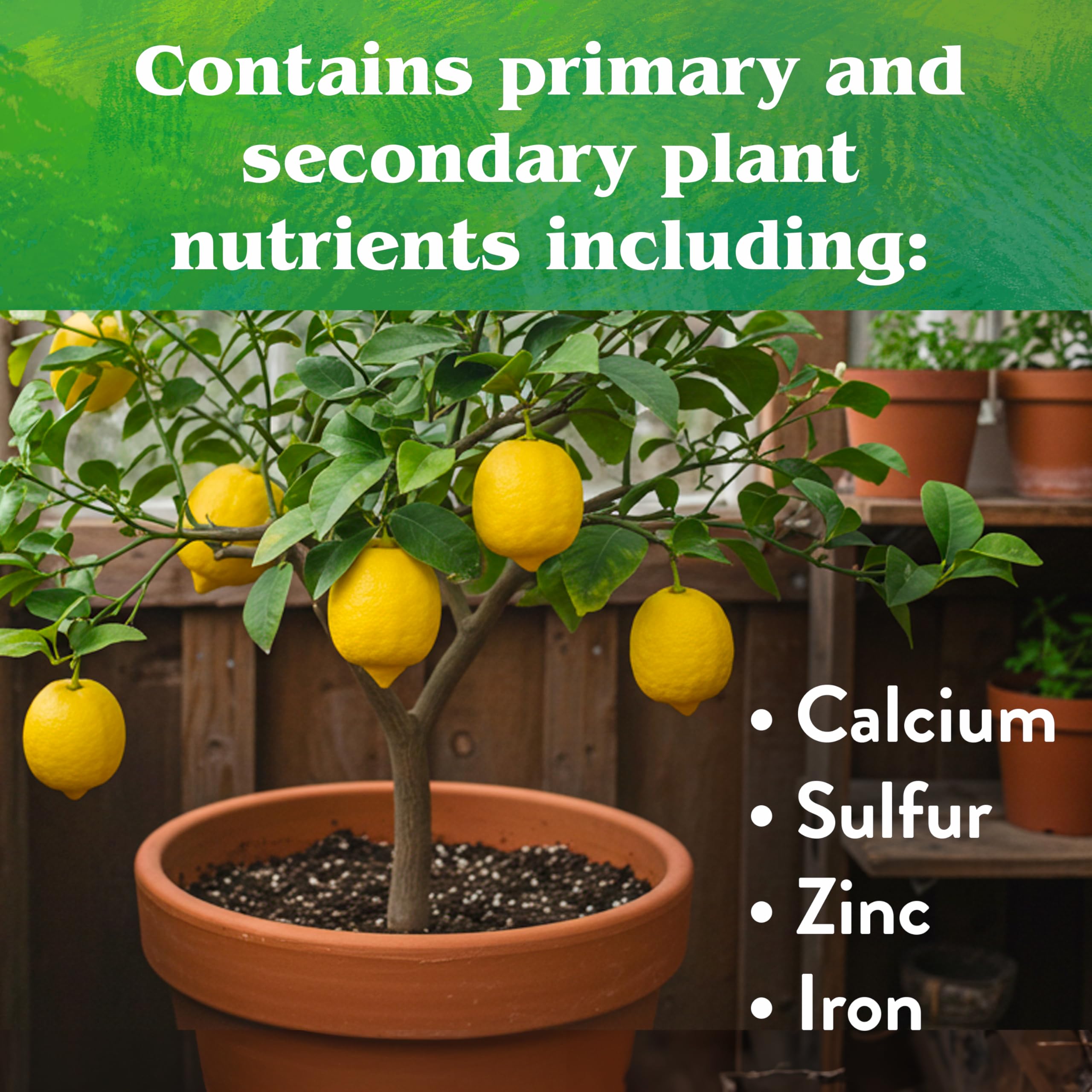 5 lb box of Down To Earth citrus mix
