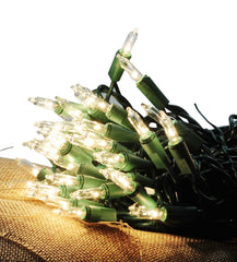 5V bulbs for Holiday Wonderland light set