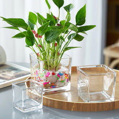 clear-cube-vases-4x4-inch-for-wedding-decor