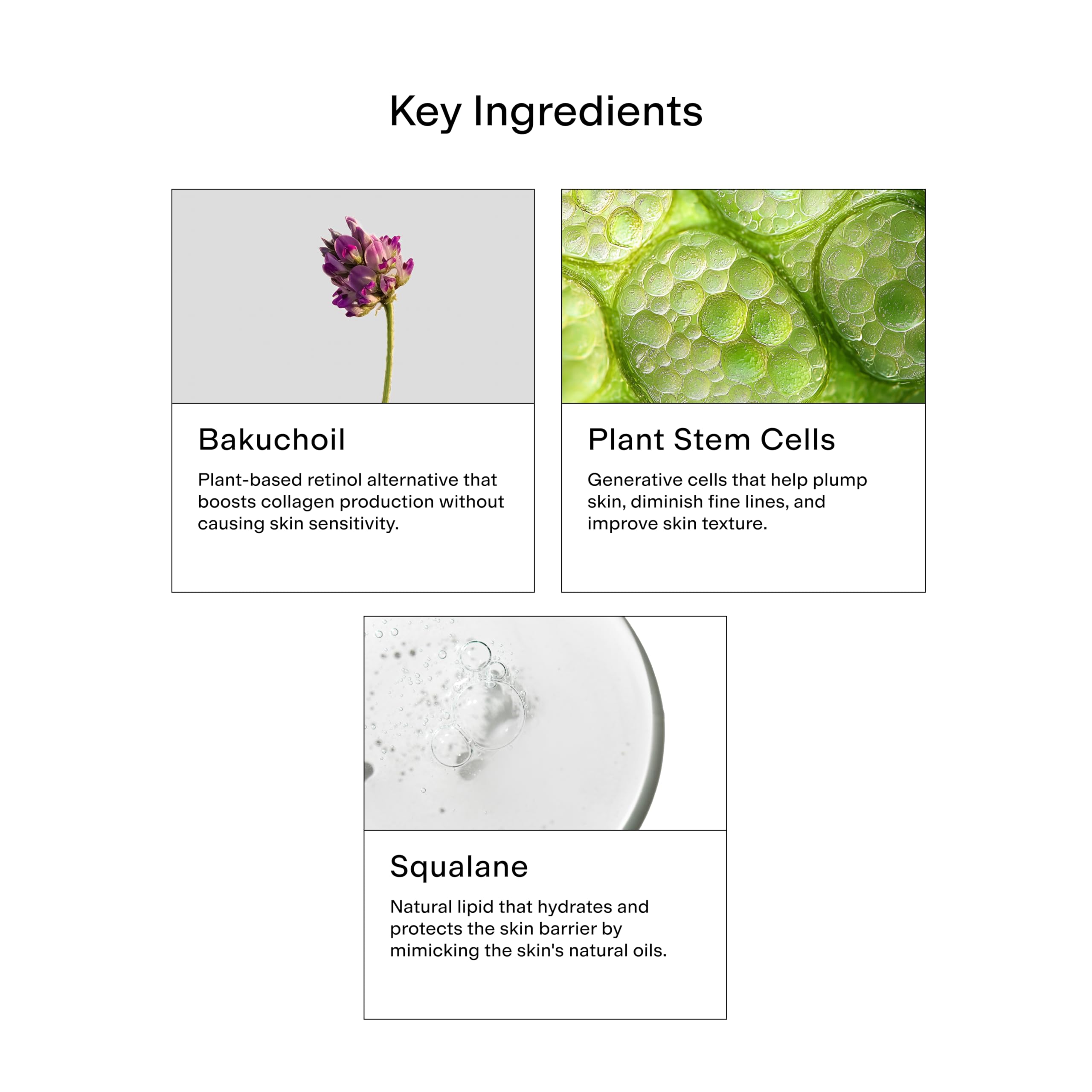 Stem Cell Moisturizer label CLEARSTEM Hydraglow