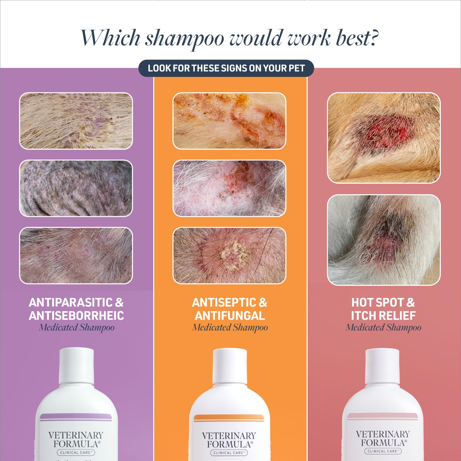 Colloidal oatmeal and allantoin hydrate for coat care packaging
