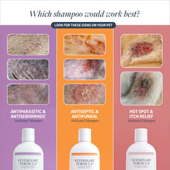Colloidal oatmeal and allantoin hydrate for coat care packaging