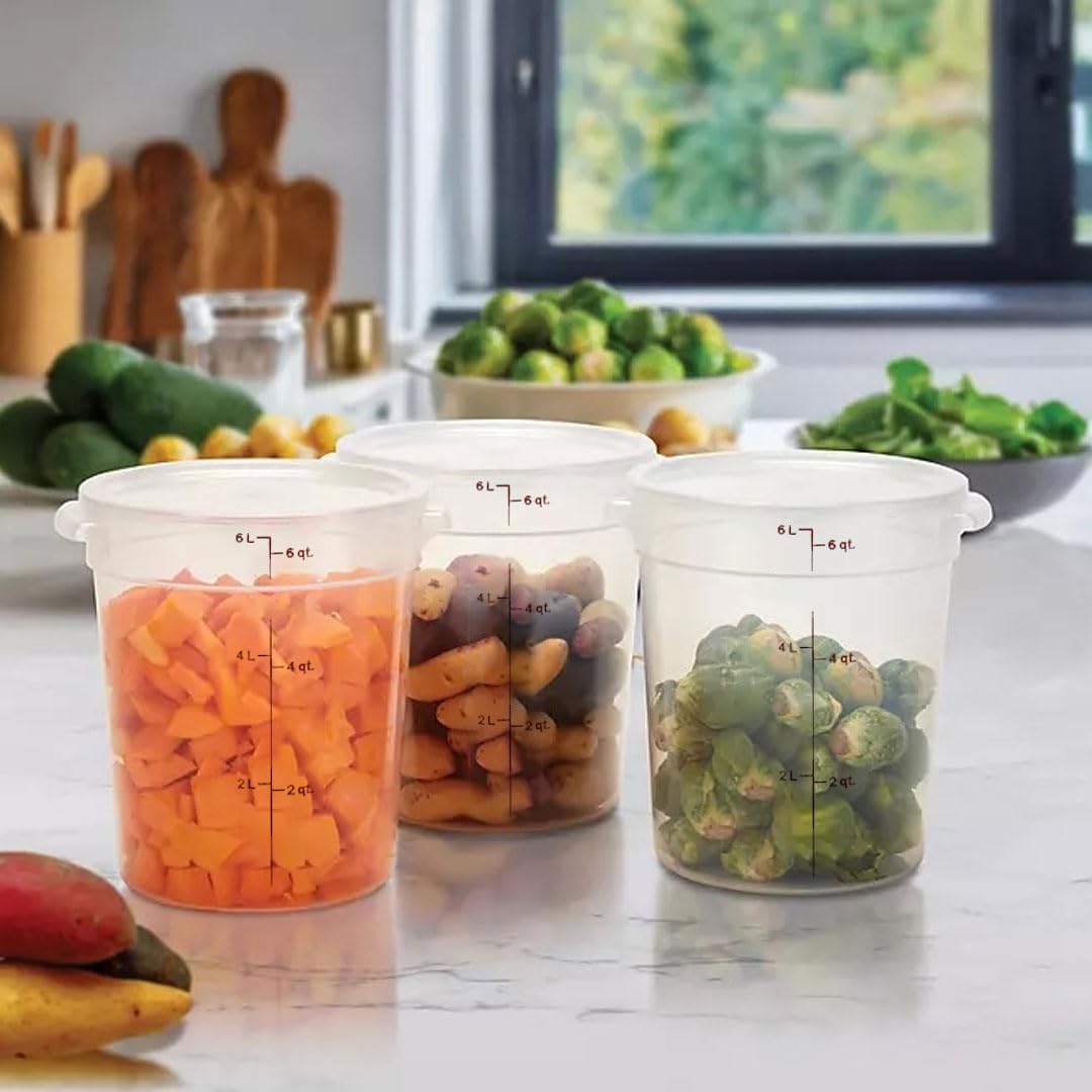 Clear plastic storage bin with lid for dry goods