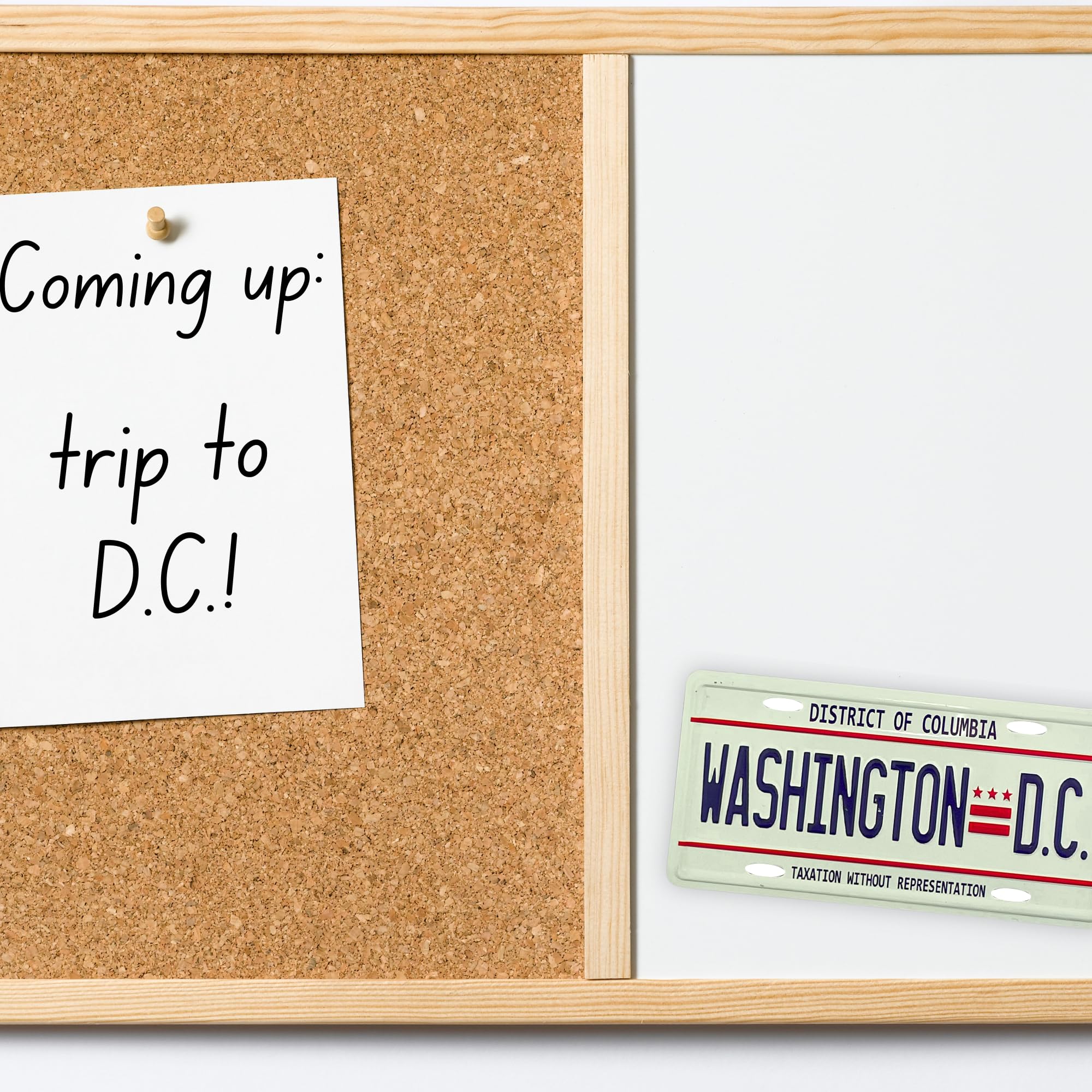 Compact license plate magnet 1.75 by 3.5 inches DC