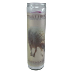 Corderito Manso vela 14oz en vaso grande