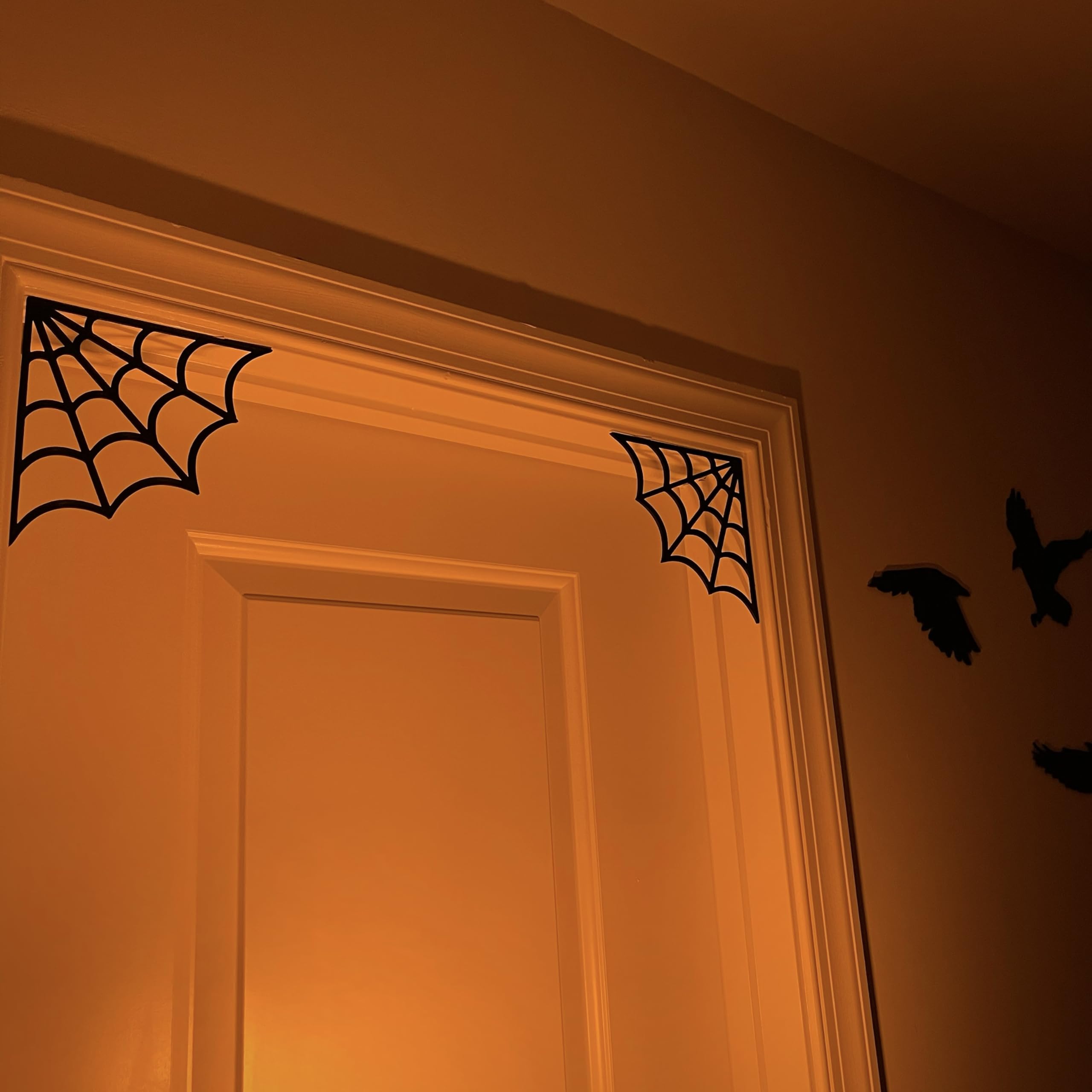 Halloween decor spider web sign for gothic themes black