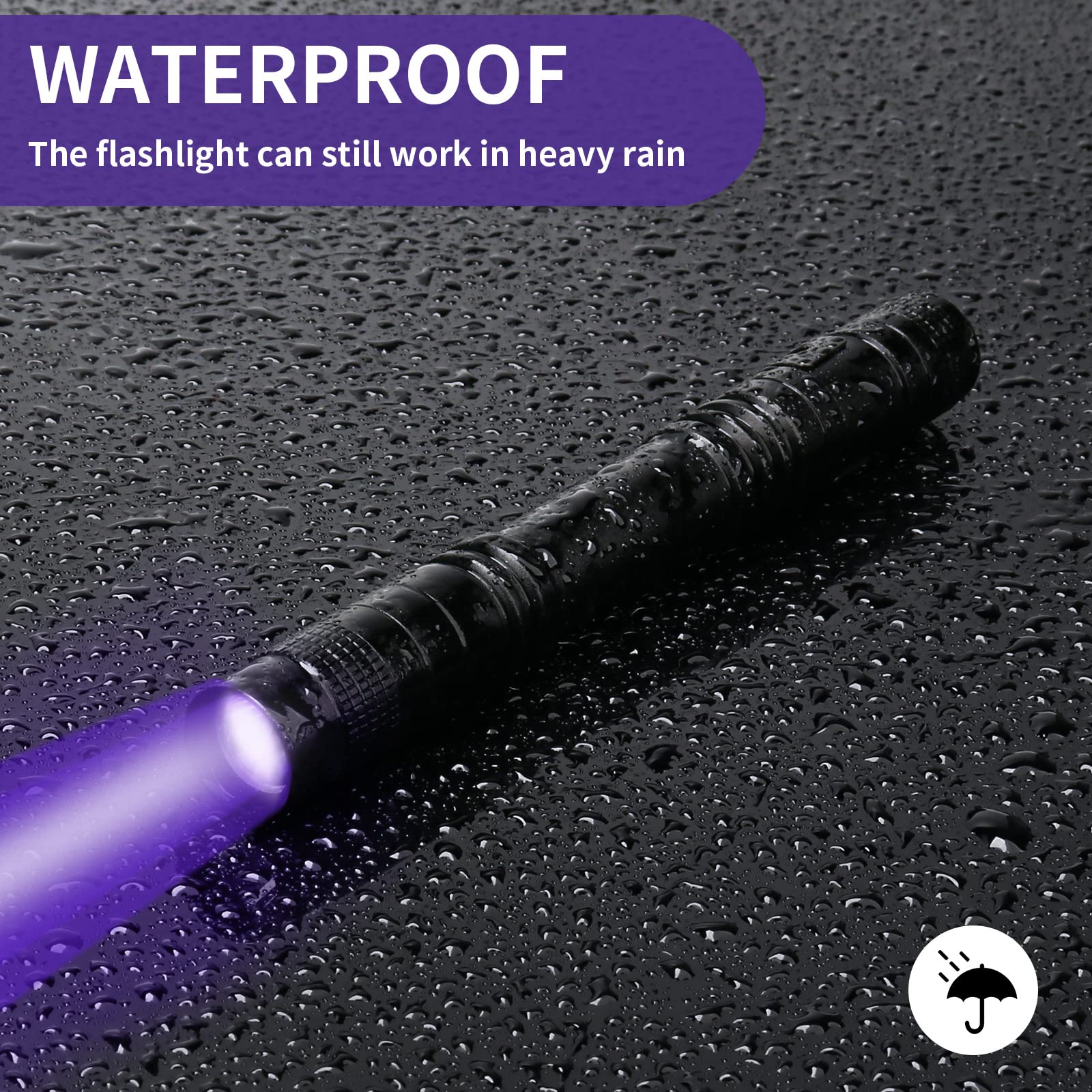 395nm UV light detects pet urine and stains
