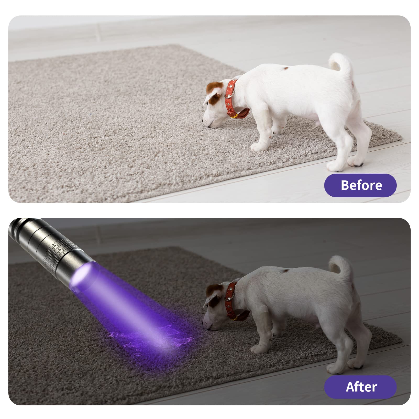 Removable metal clip on COSOOS UV pen light