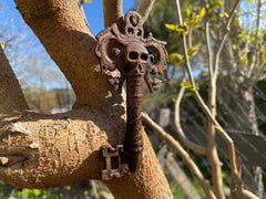 Cosplay and decor ready skeleton key accessory