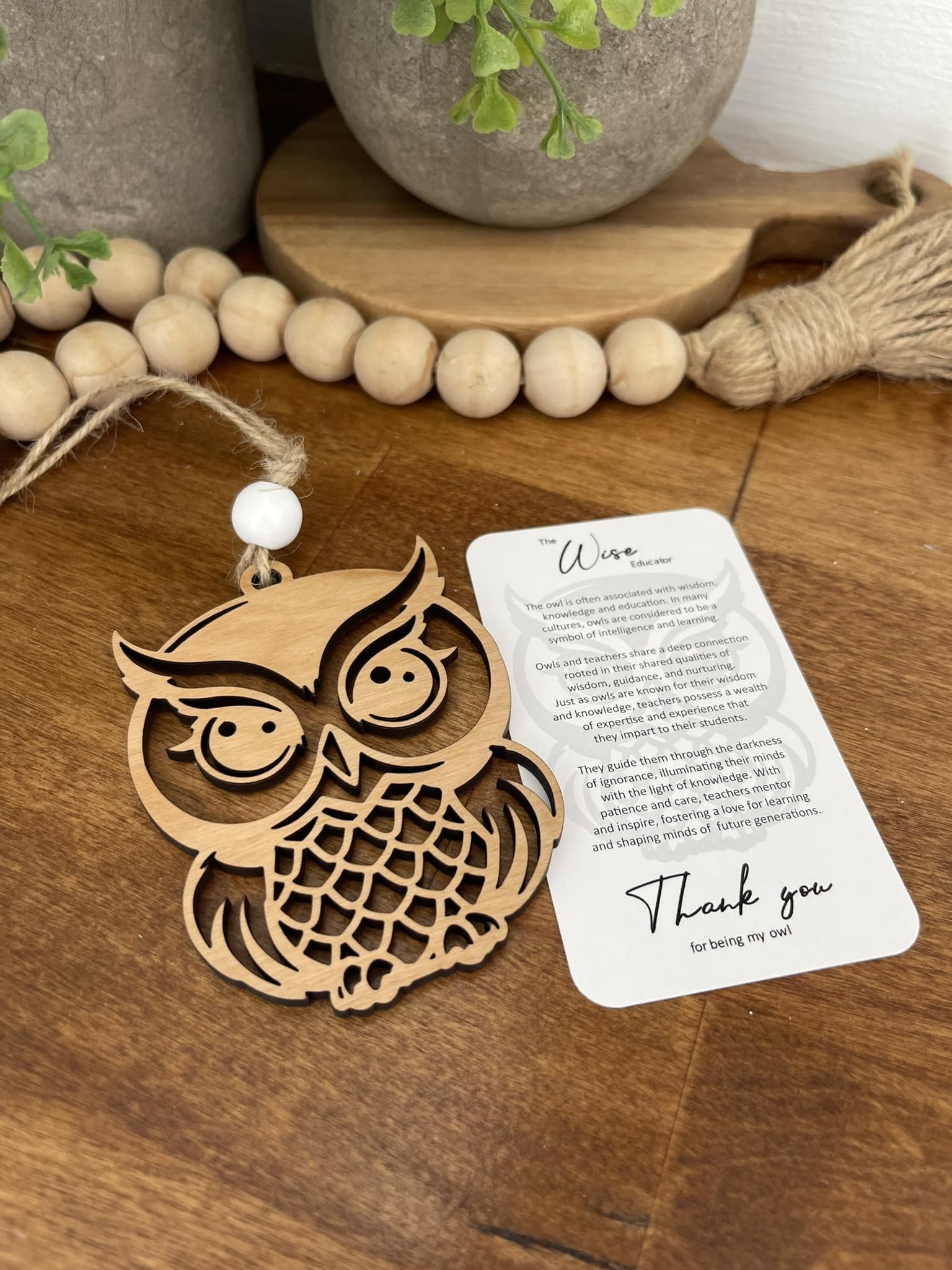 Teacher gift owl ornament with story card