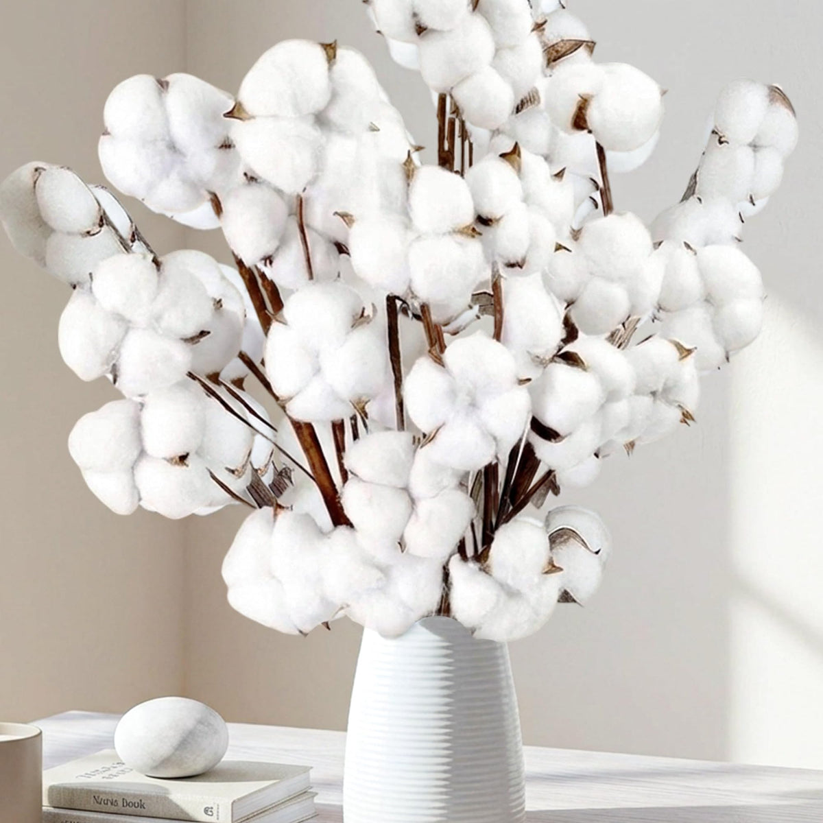 10 packs natural dried cotton stems 15 inches each