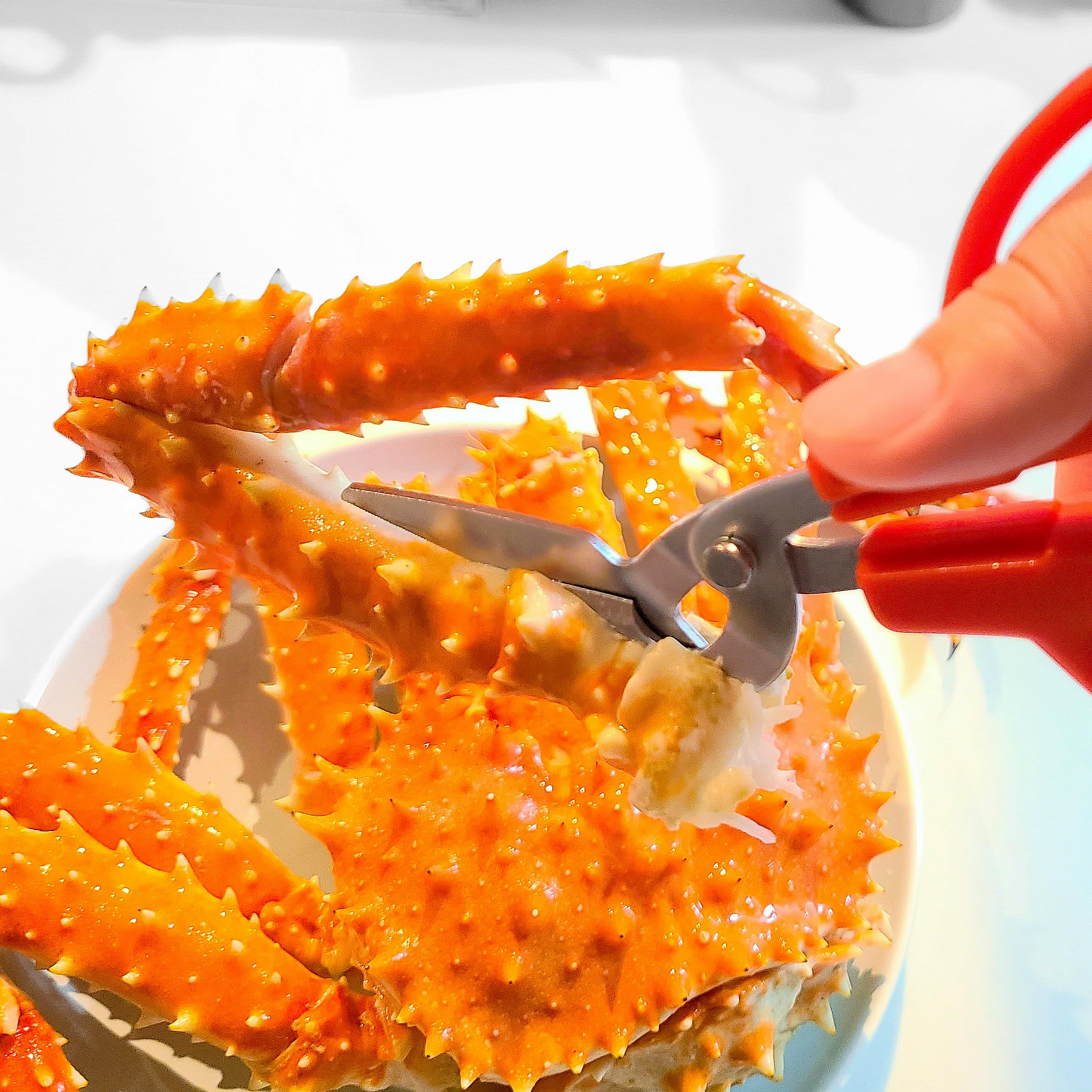 Narrow angled blade for crab legs cutting