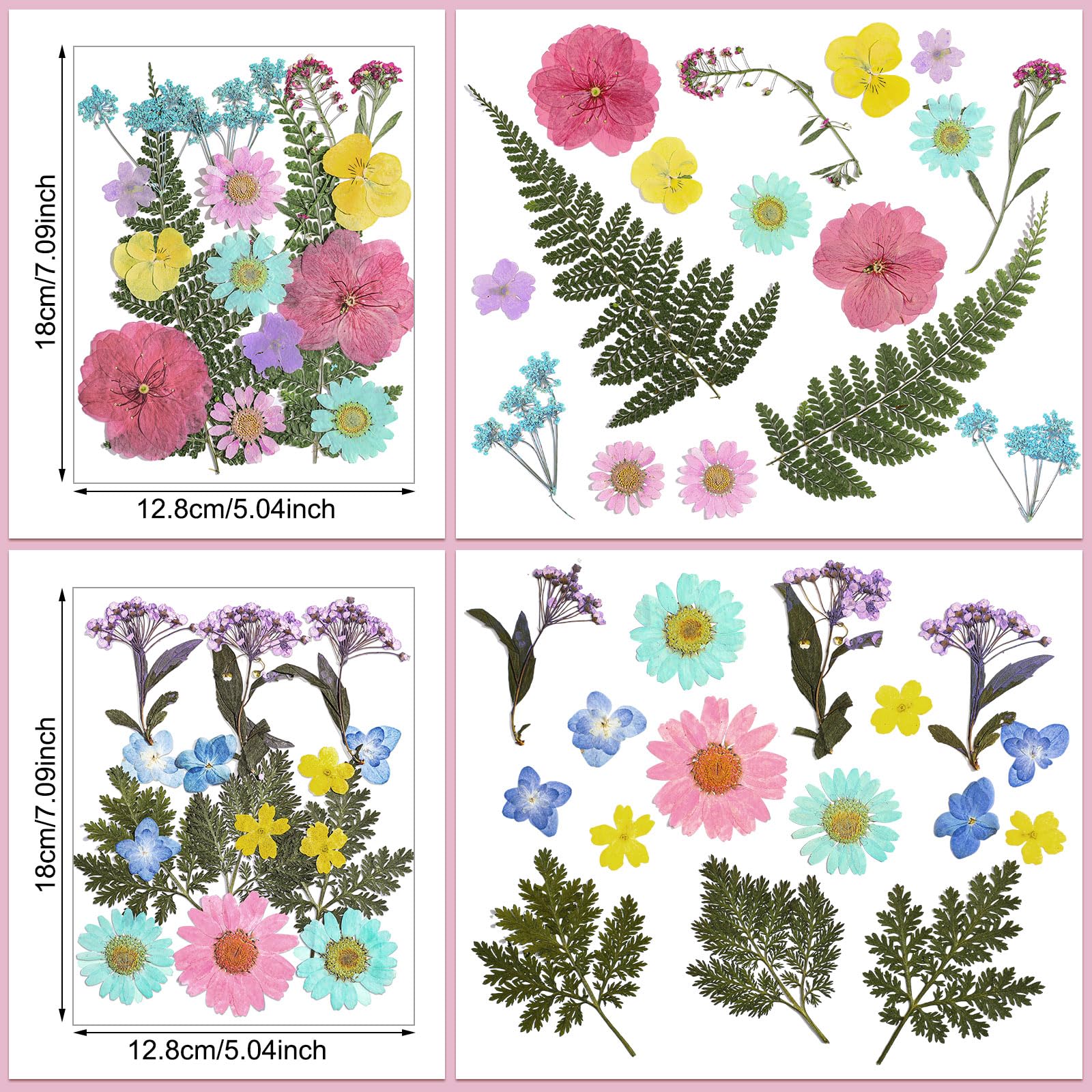 Dried flowers suitable for resin molds and crafts