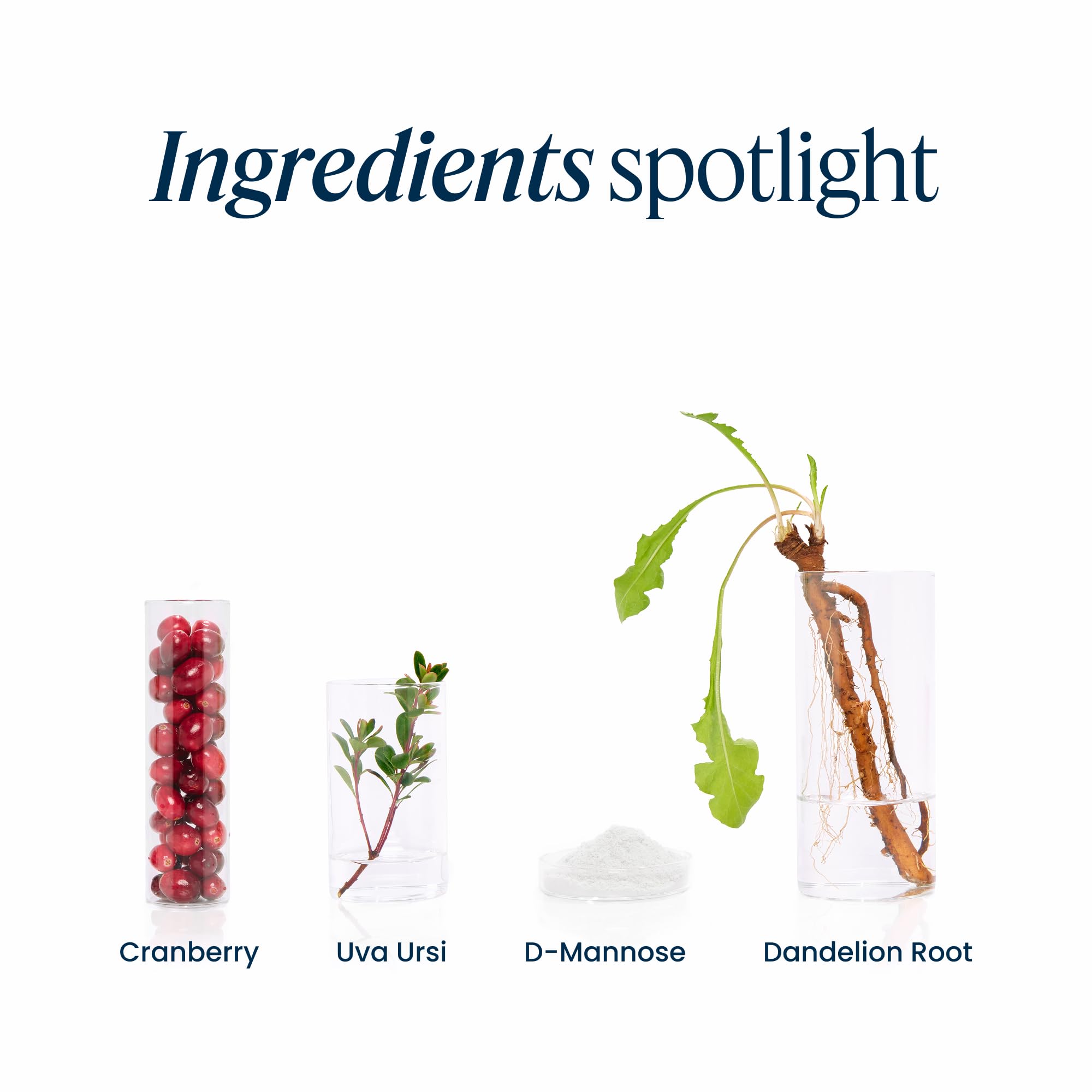 Botanical blend reference on U.T. Vibrance Powder label