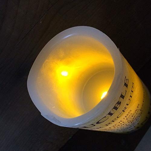 Crucible Candle EGA Marine Corps insignia 3x8 image