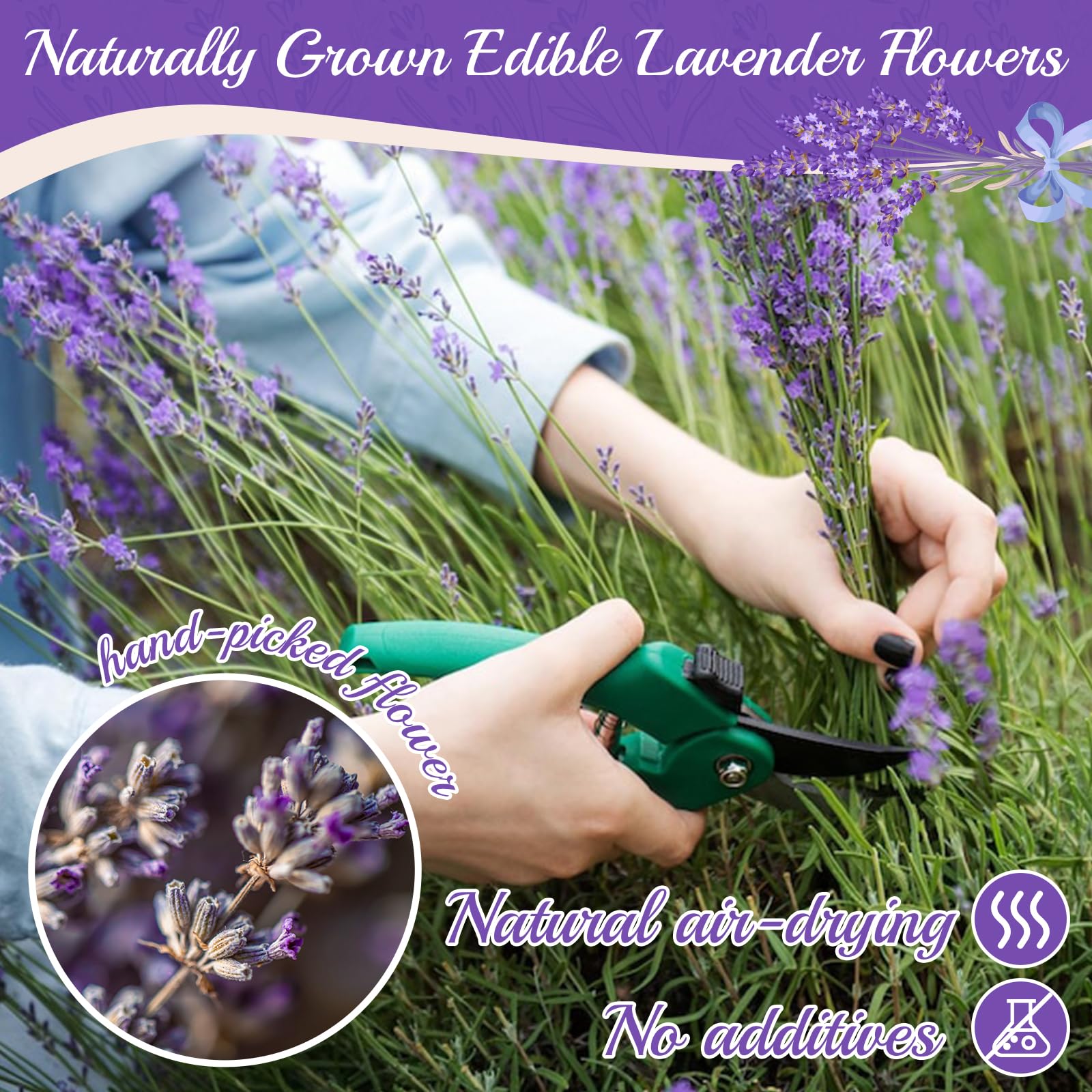 Naturally grown food grade lavender with color variation note