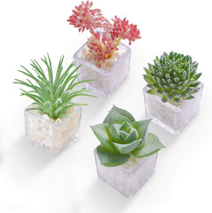Cute Succulent Fridge Magnet with 3D design for refrigerator