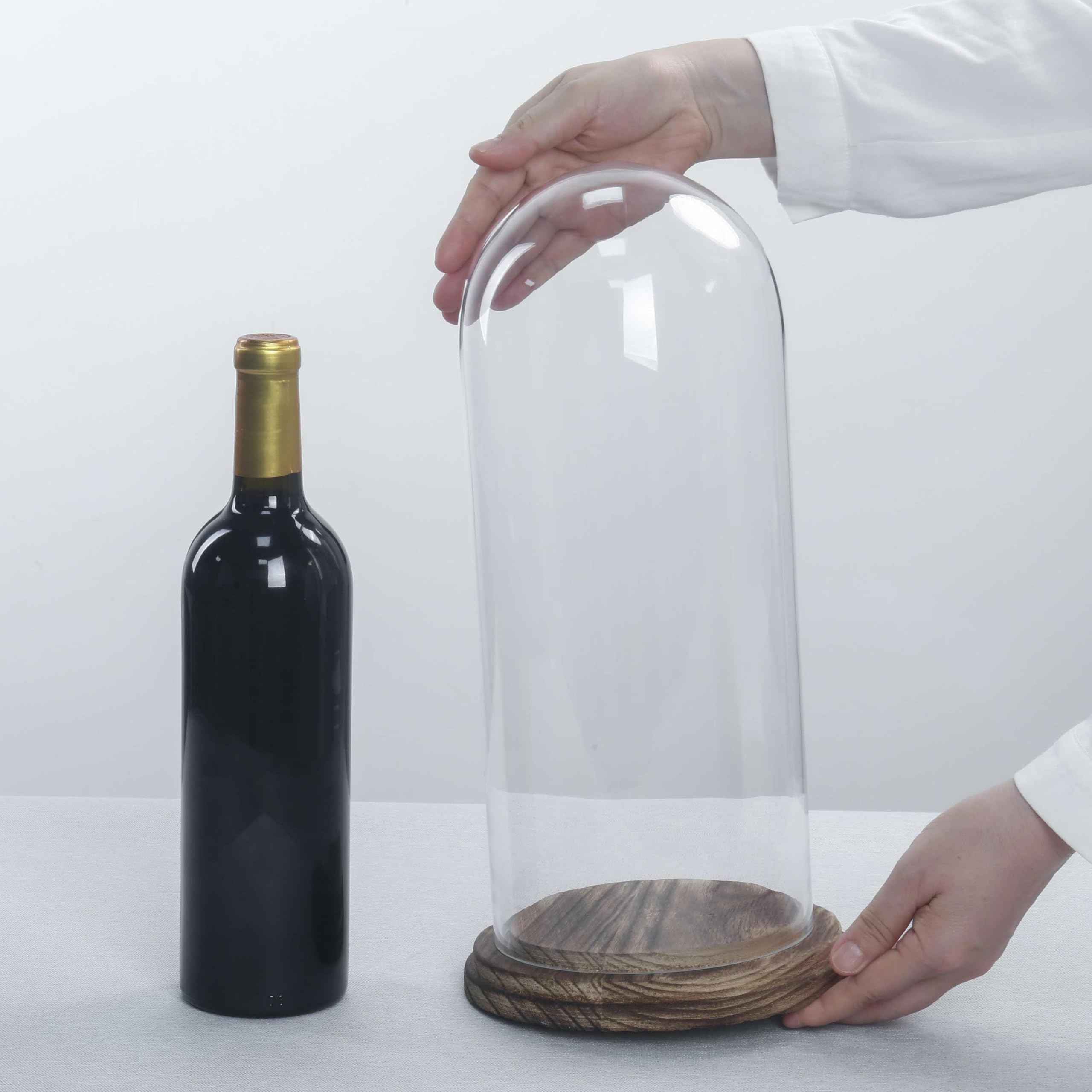 Hand-blown crystal clear glass dome