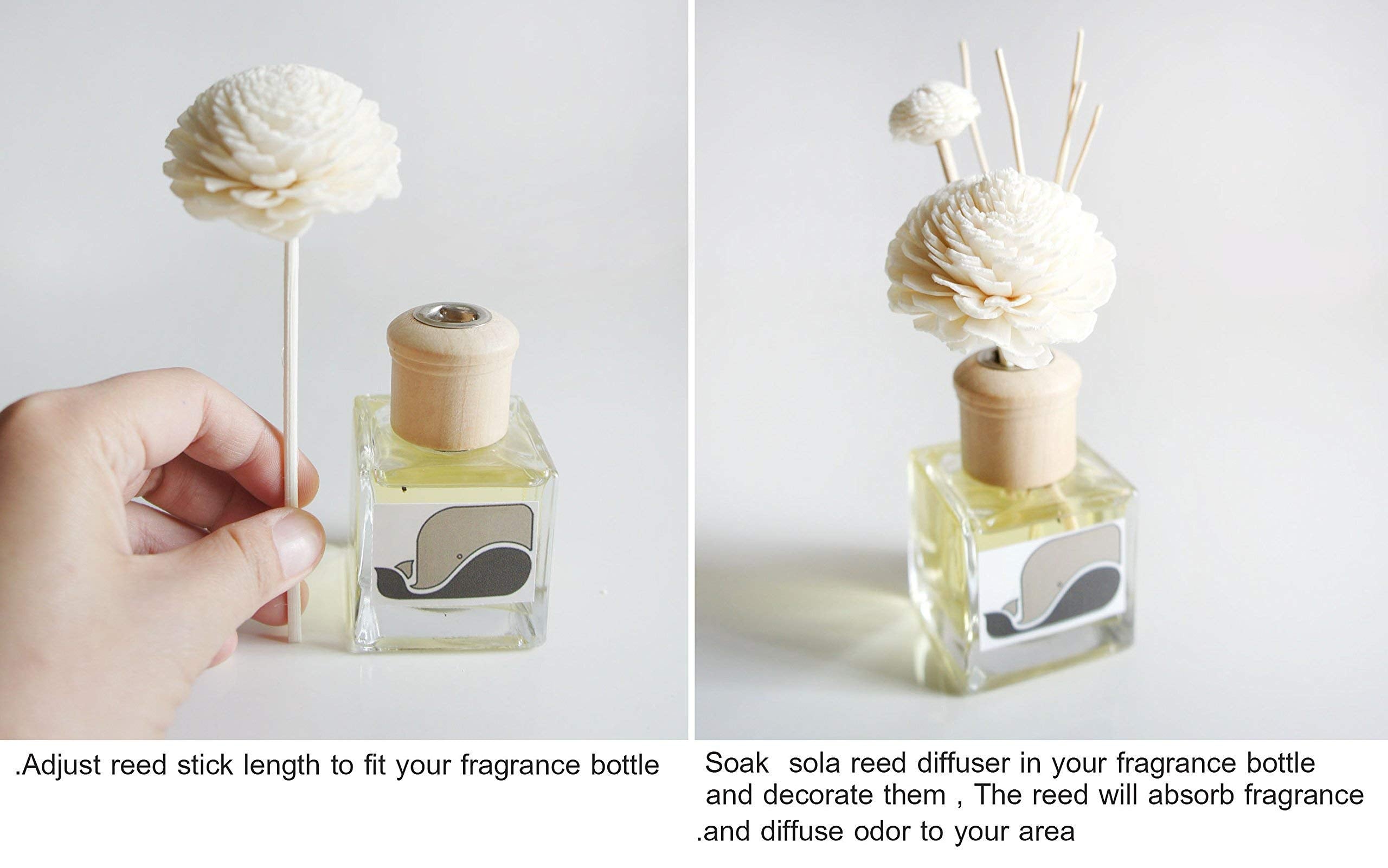 Damask Rose Sola Flower with reeds