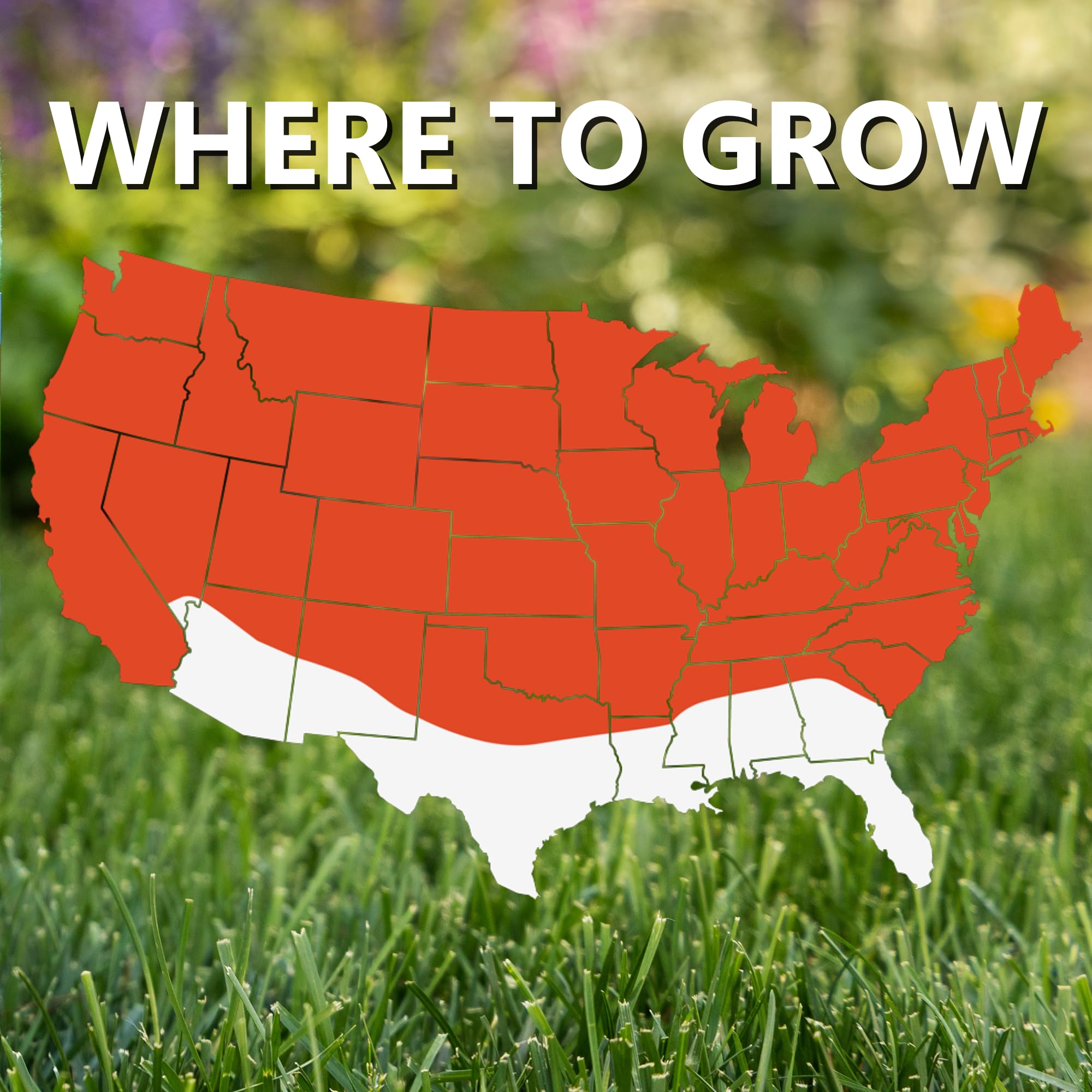 Deep roots up to 4 feet for sunny and shady areas