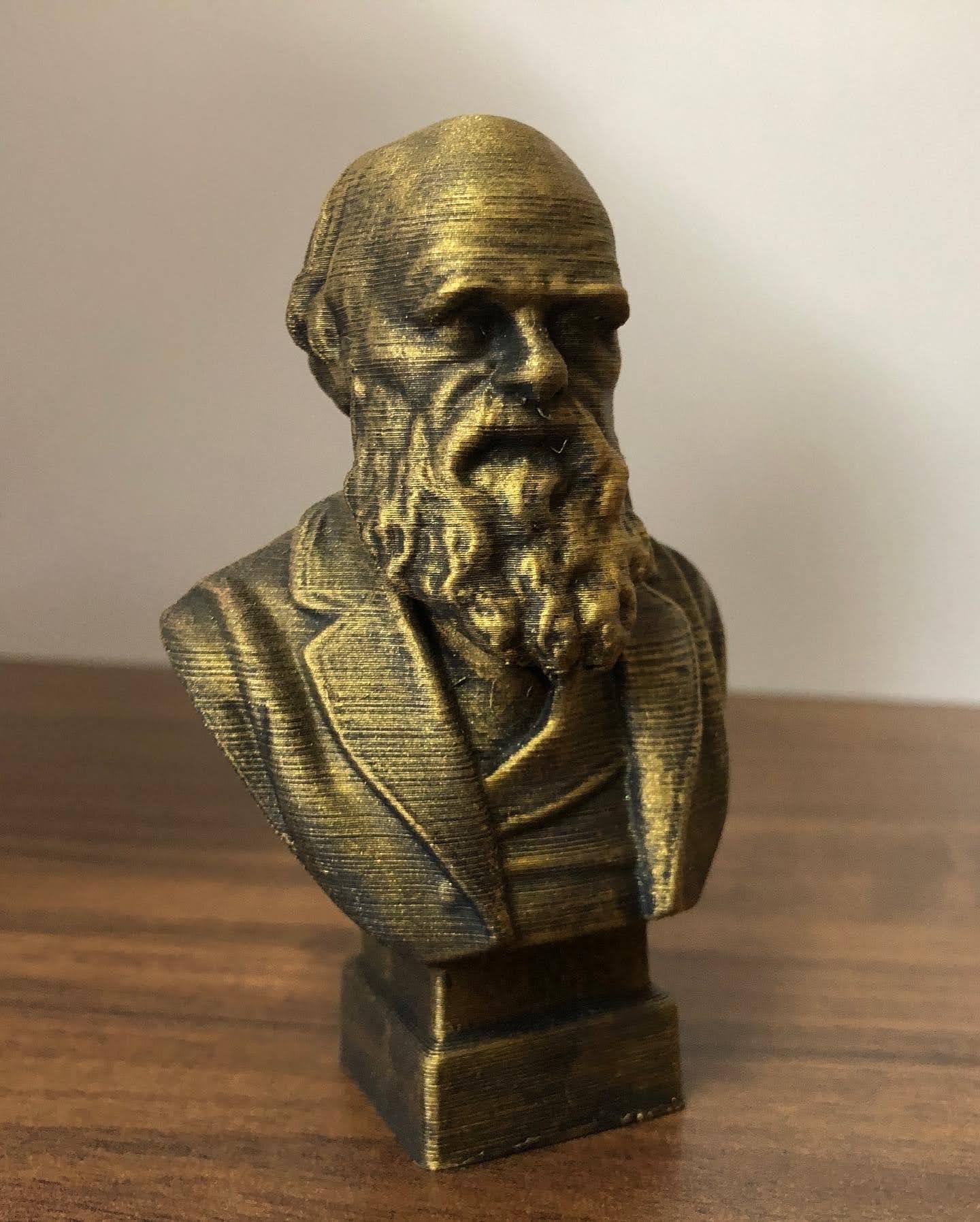 4 inch Charles Darwin bust lightweight display piece