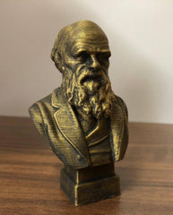 4 inch Charles Darwin bust lightweight display piece
