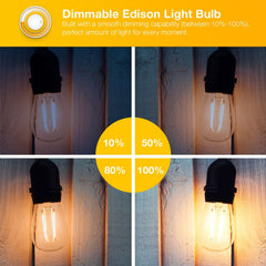 Warm white 2700K DAYBETTER Edison bulb 800 lumens in fixture