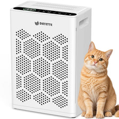 DAYETTE air purifier large room front view